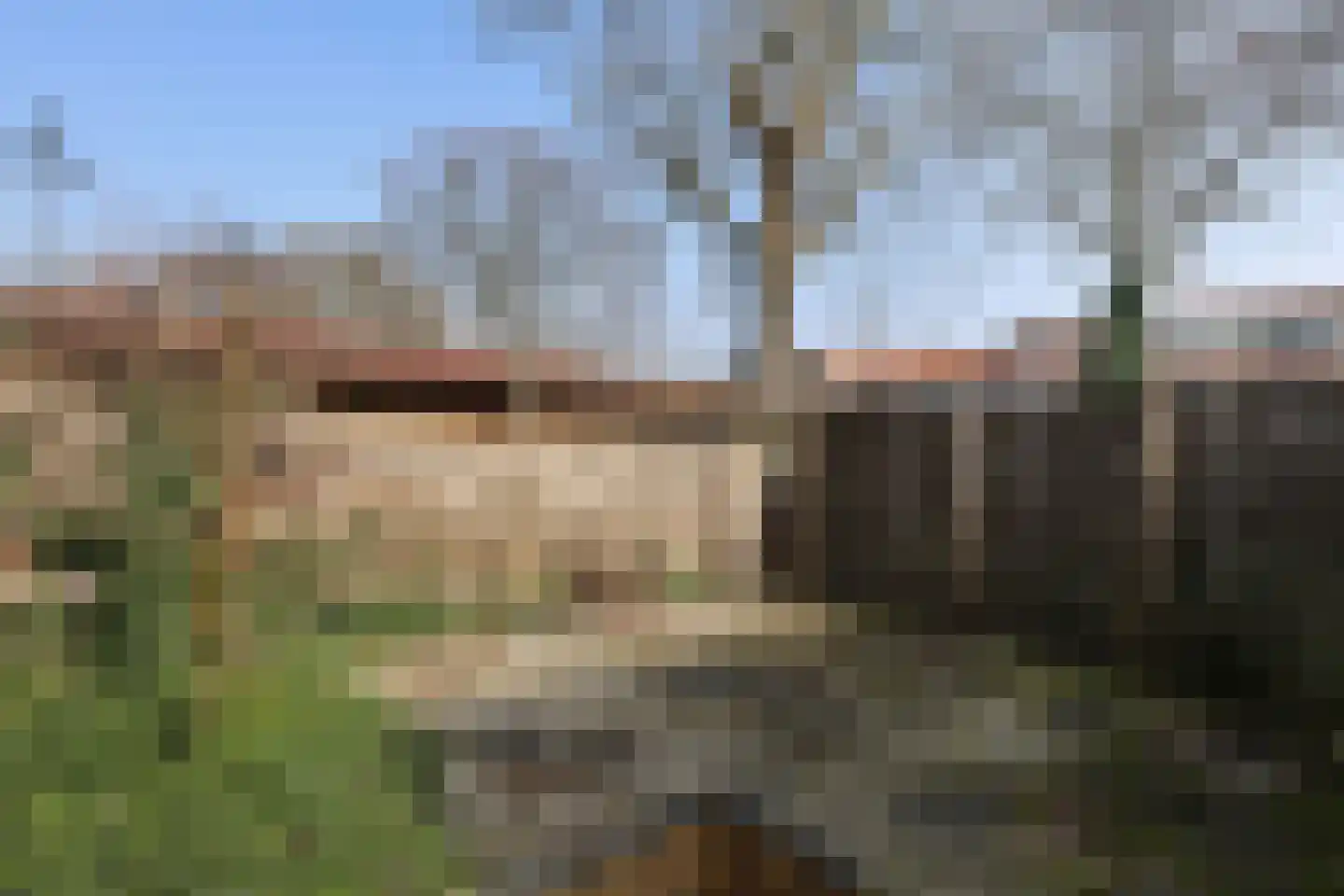 Leliestraat 13 Rozenburg thumbnail 30