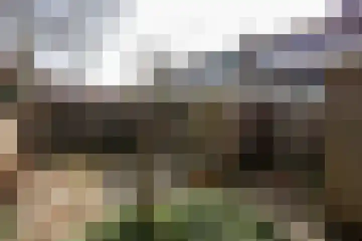 Leliestraat 13 Rozenburg thumbnail 31
