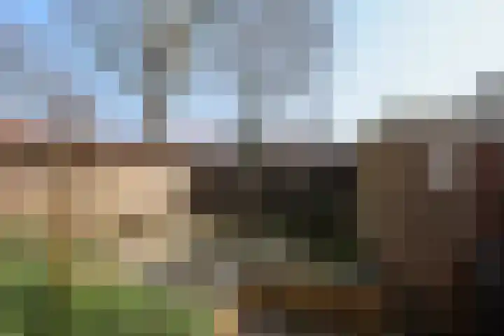 Leliestraat 13 Rozenburg thumbnail 32