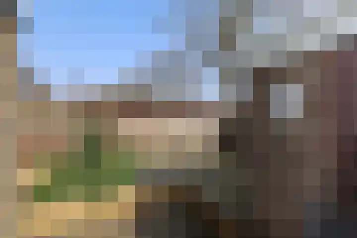 Leliestraat 13 Rozenburg thumbnail 33