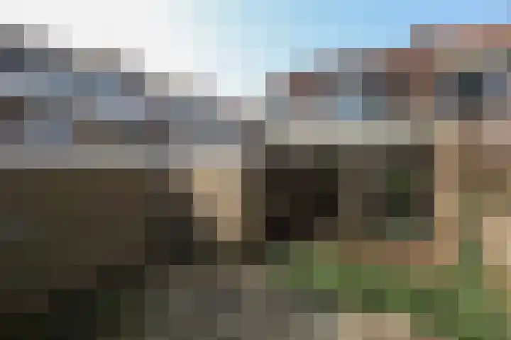 Leliestraat 13 Rozenburg thumbnail 34