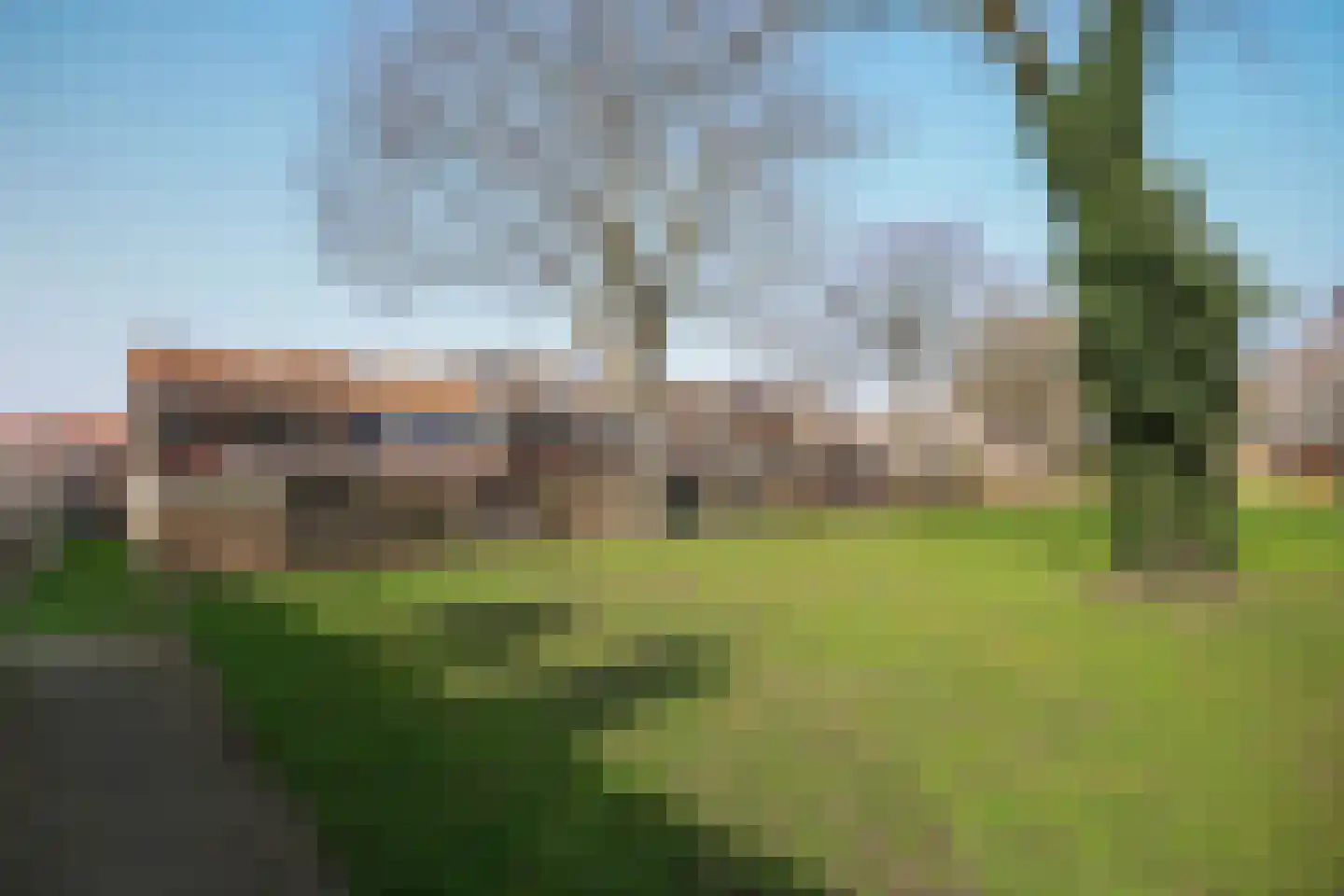 Leliestraat 13 Rozenburg thumbnail 36