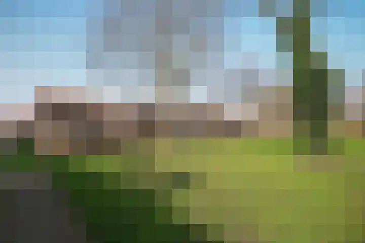 Leliestraat 13 Rozenburg thumbnail 36