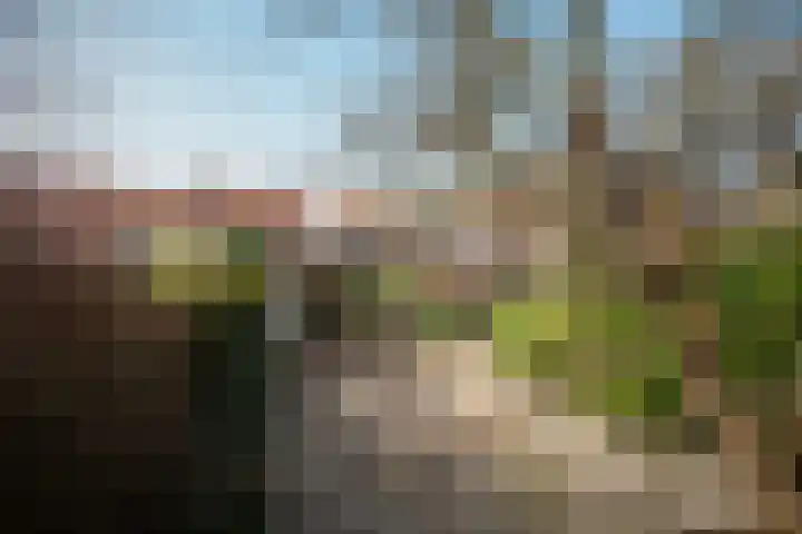 Leliestraat 13 Rozenburg thumbnail 38
