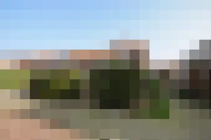 Leliestraat 13 Rozenburg thumbnail 4