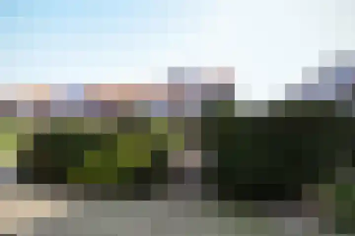 Leliestraat 13 Rozenburg thumbnail 5