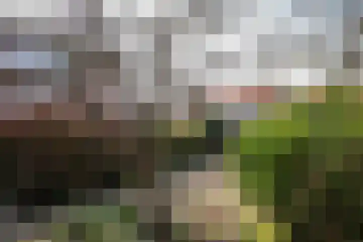 Leliestraat 13 Rozenburg thumbnail 8