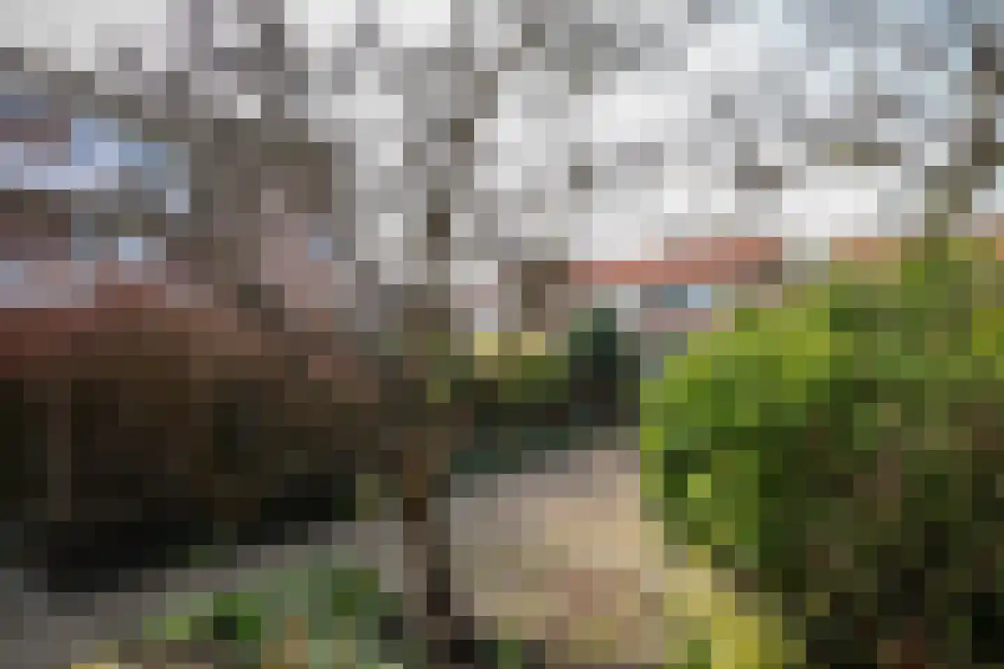 Leliestraat 13 Rozenburg thumbnail 8