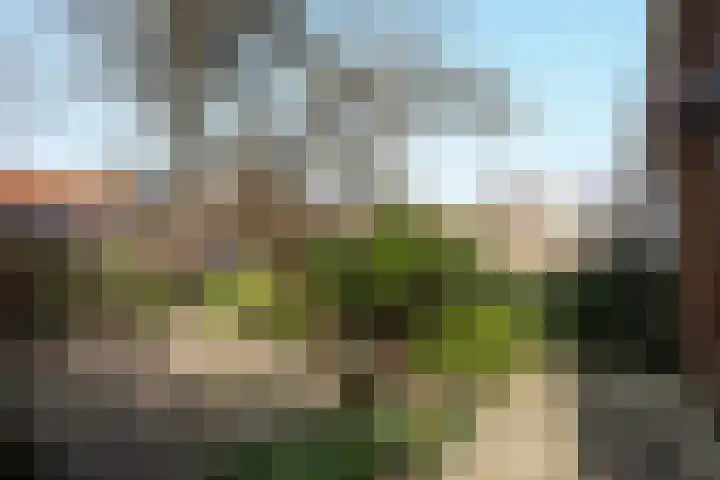 Leliestraat 13 Rozenburg thumbnail 9