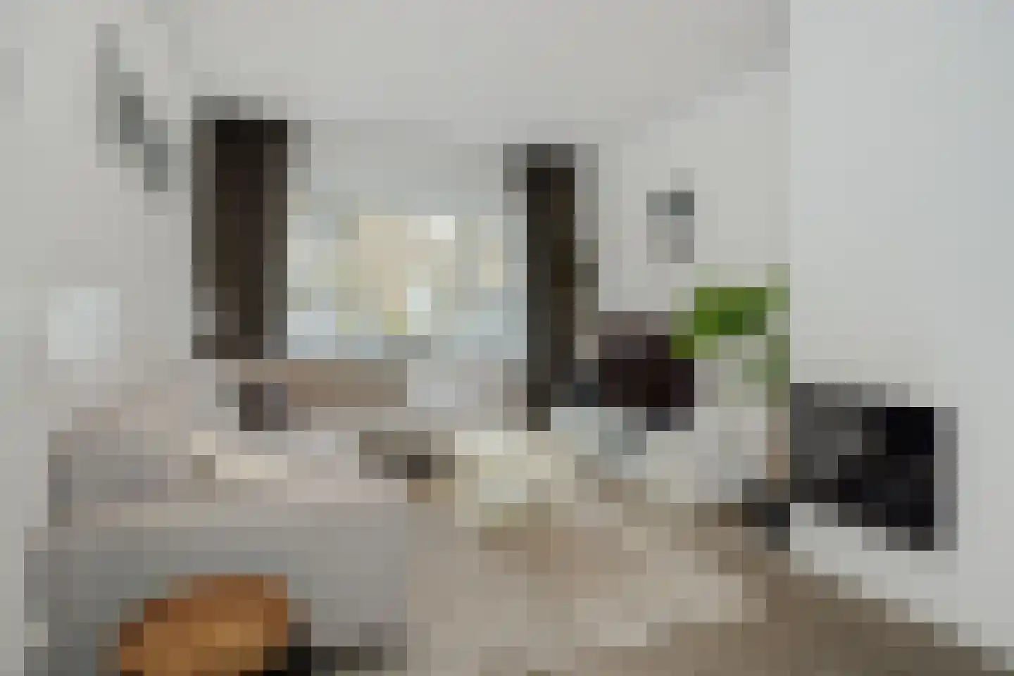Leliestraat 13 's-Hertogenbosch thumbnail 12