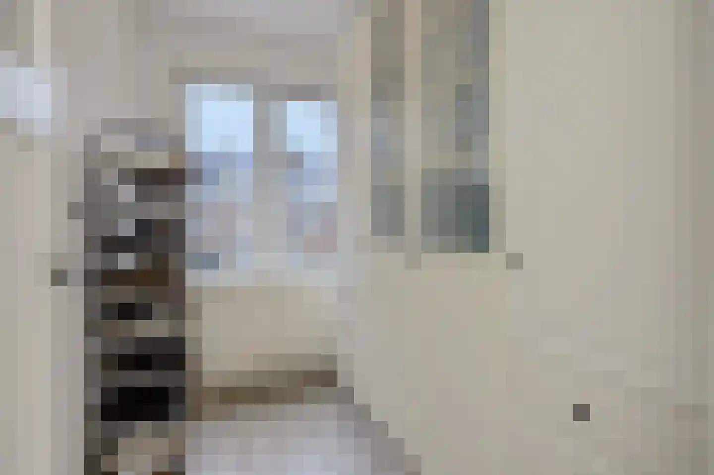 Leliestraat 13 's-Hertogenbosch thumbnail 20