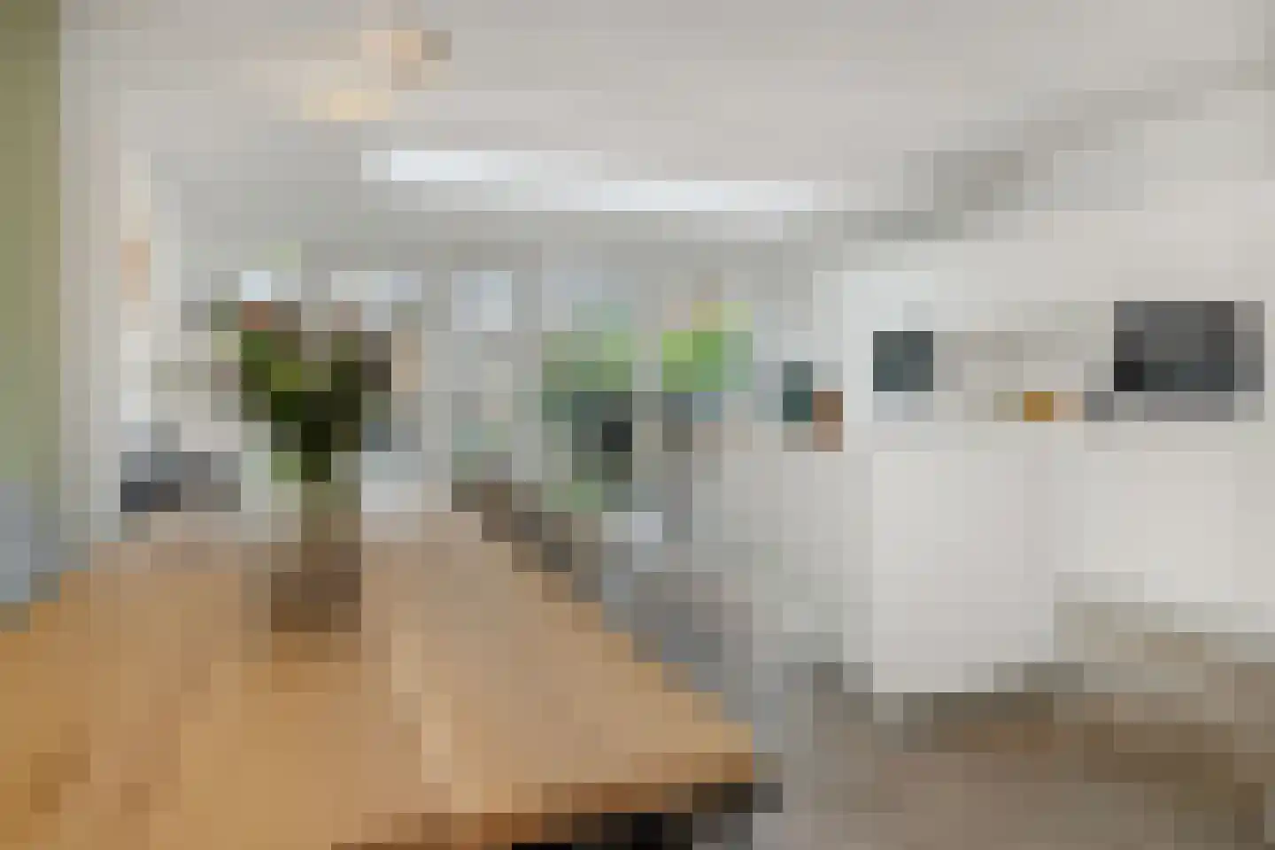 Leliestraat 13 's-Hertogenbosch thumbnail 6