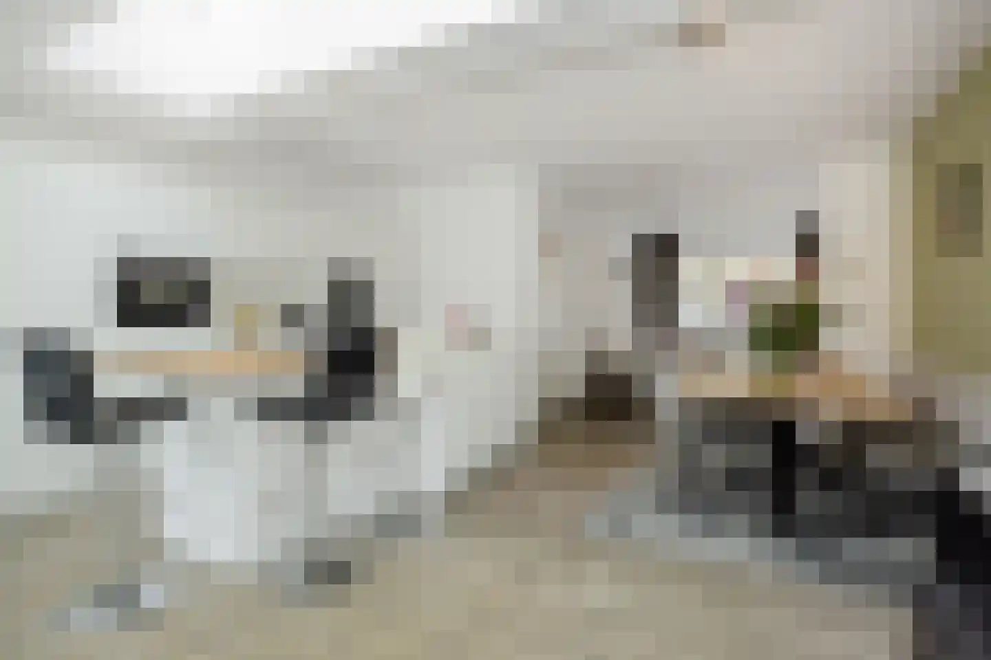 Leliestraat 13 's-Hertogenbosch thumbnail 7