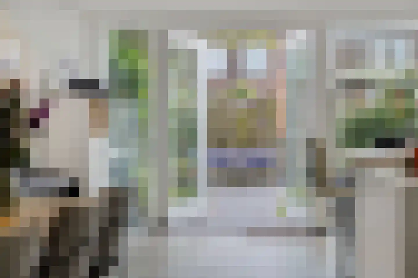 Leliestraat 13 's-Hertogenbosch thumbnail 9