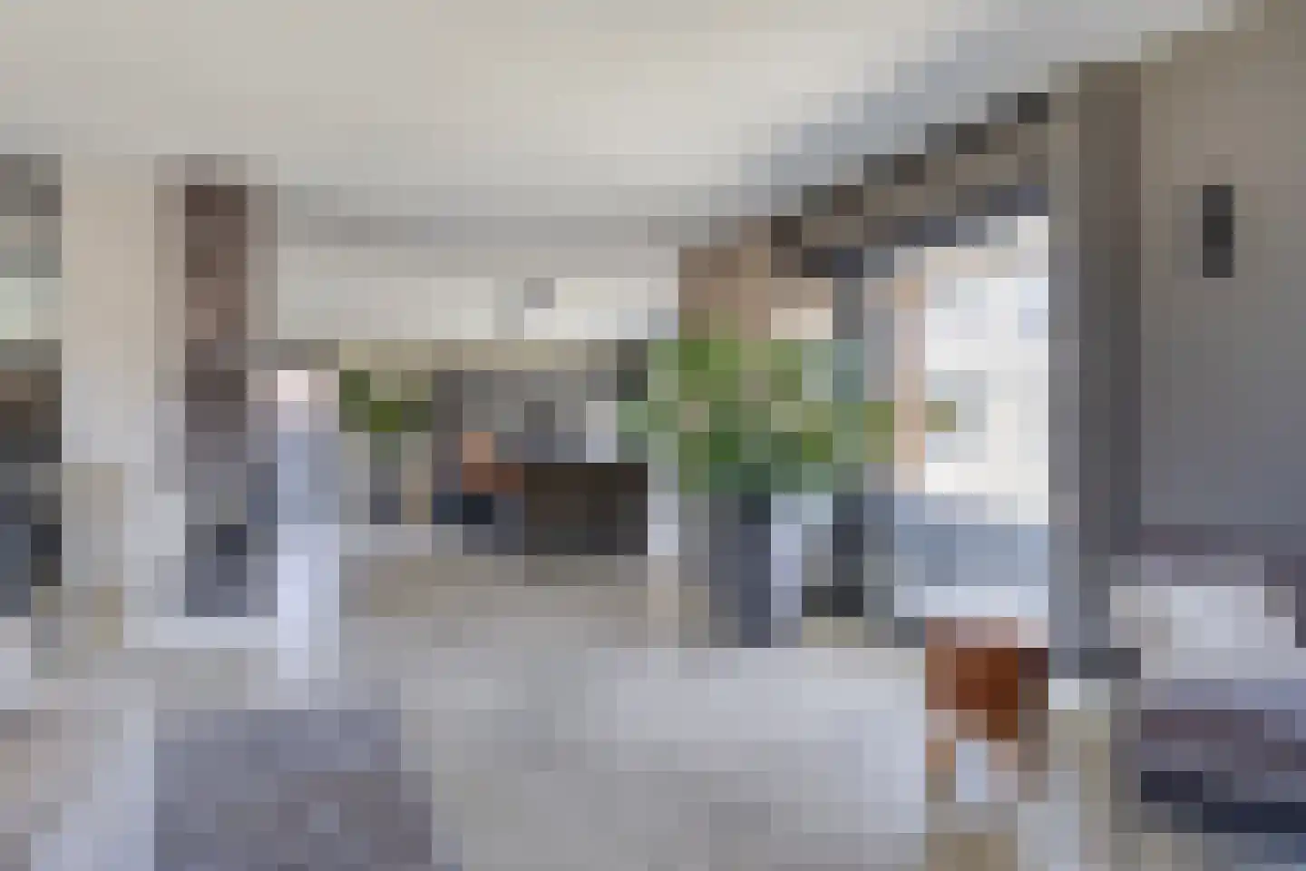 Leliestraat 14 St. Willebrord thumbnail 12