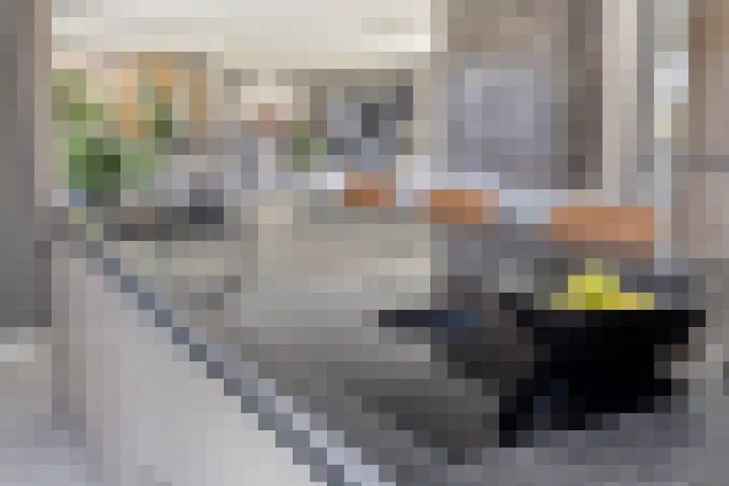 Leliestraat 14 St. Willebrord thumbnail 17