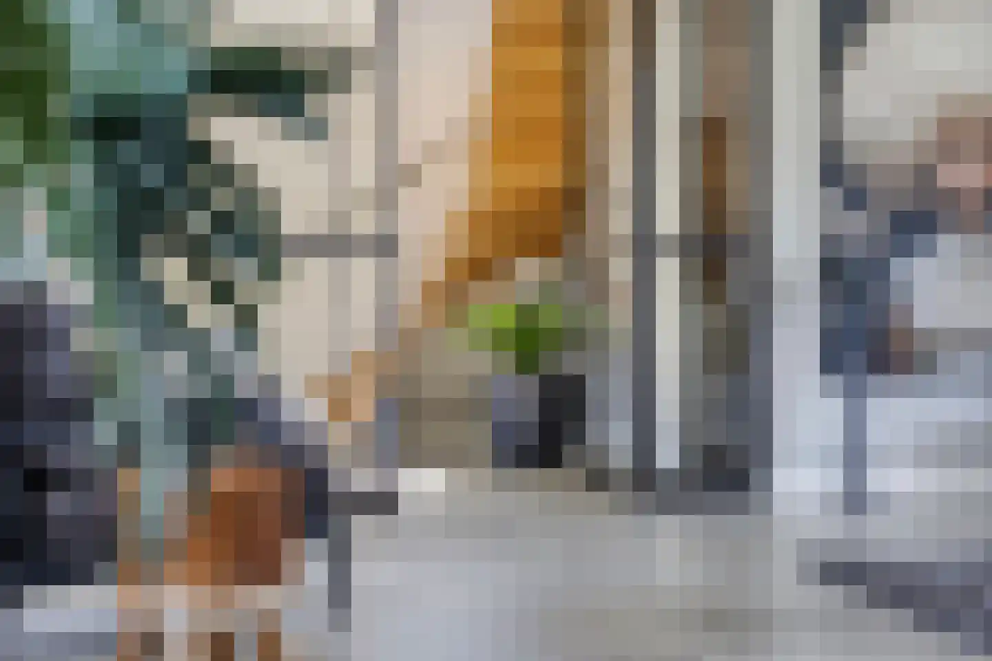 Leliestraat 14 St. Willebrord thumbnail 21