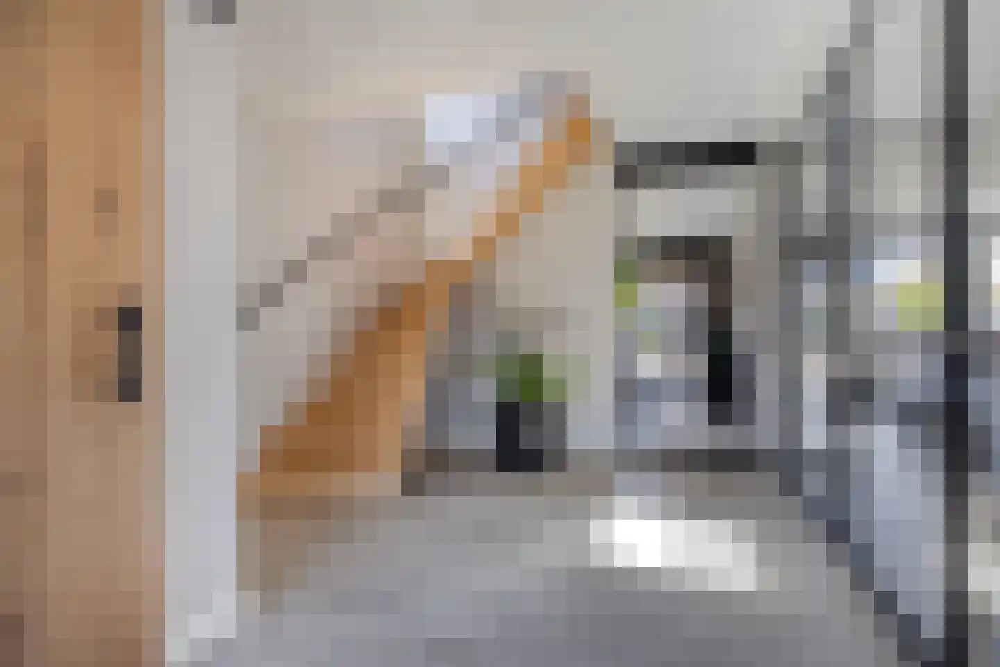 Leliestraat 14 St. Willebrord thumbnail 22