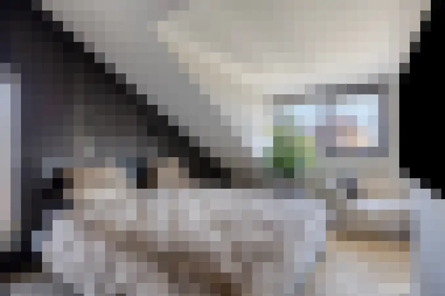Leliestraat 14 St. Willebrord thumbnail 36
