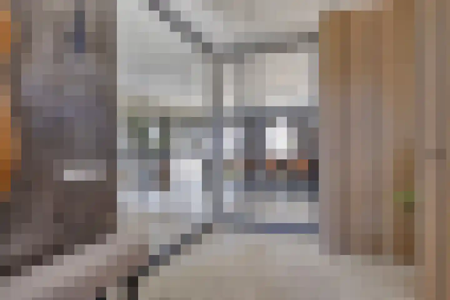 Leliestraat 14 St. Willebrord thumbnail 4