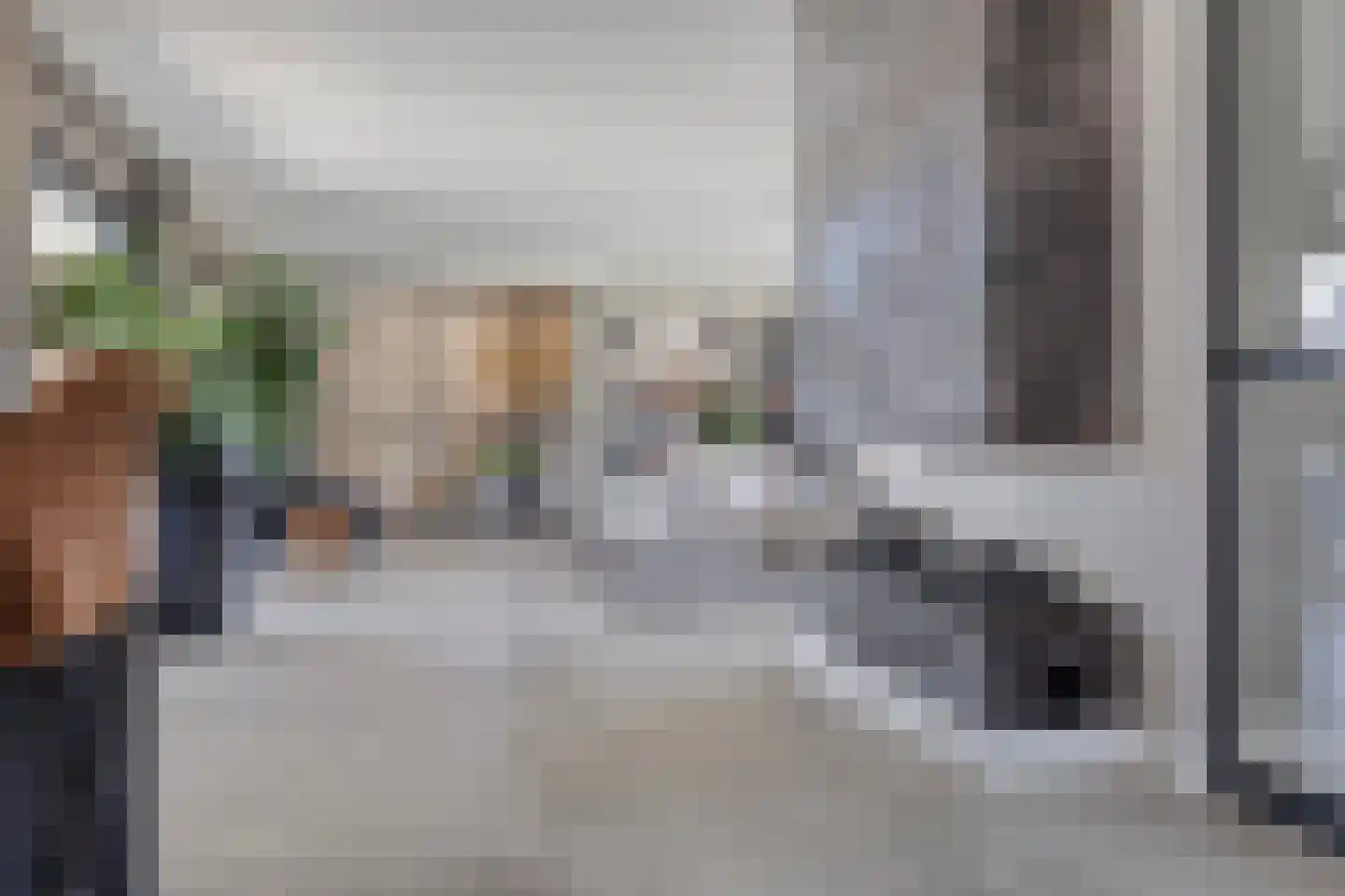 Leliestraat 14 St. Willebrord thumbnail 5