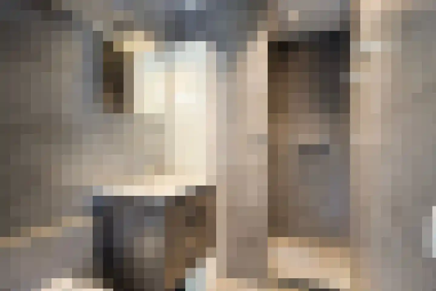 Leliestraat 14 St. Willebrord thumbnail 63