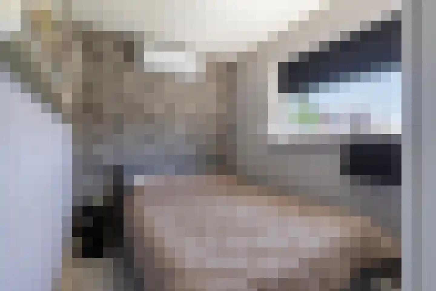Leliestraat 14 St. Willebrord thumbnail 69