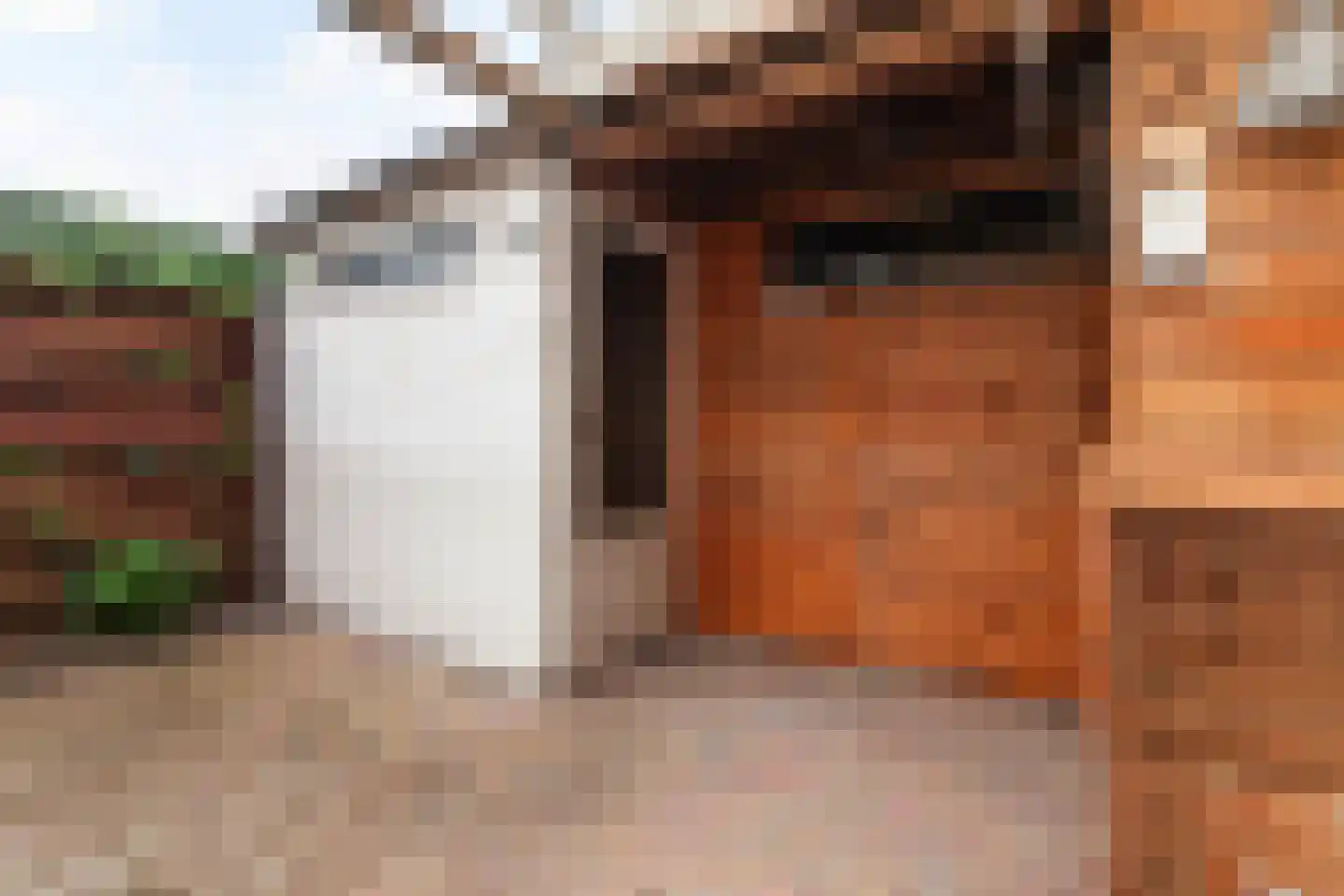Leliestraat 14 Vlaardingen thumbnail 17