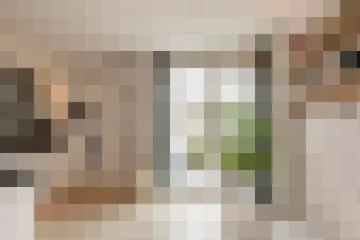 Leliestraat 15 Vlaardingen thumbnail 14