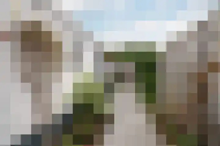 Leliestraat 15 Vlaardingen thumbnail 15