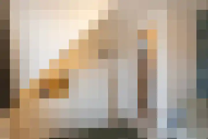 Leliestraat 15 Vlaardingen thumbnail 30