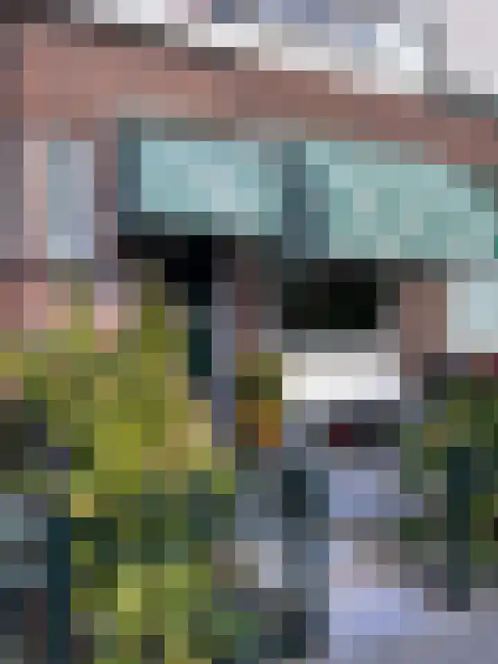 Leliestraat 15 Vlaardingen thumbnail 8