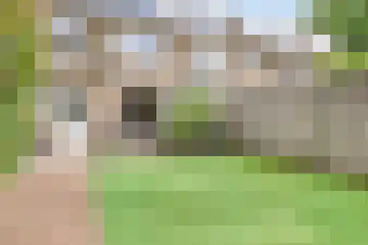 Leliestraat 154 Zwolle thumbnail 31