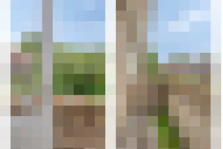 Leliestraat 154 Zwolle thumbnail 37