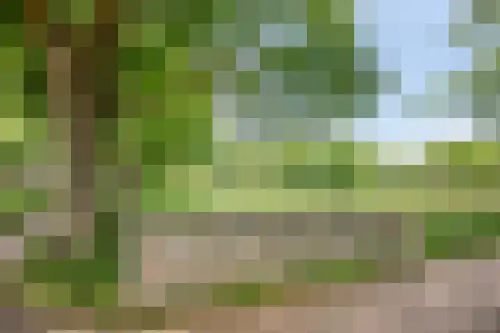 Leliestraat 154 Zwolle thumbnail 38
