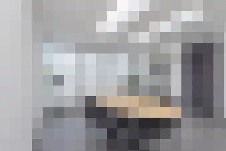 Leliestraat 16 't Zand thumbnail 22