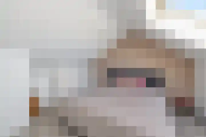 Leliestraat 16 't Zand thumbnail 39