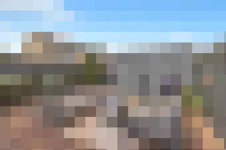 Leliestraat 16 't Zand thumbnail 42