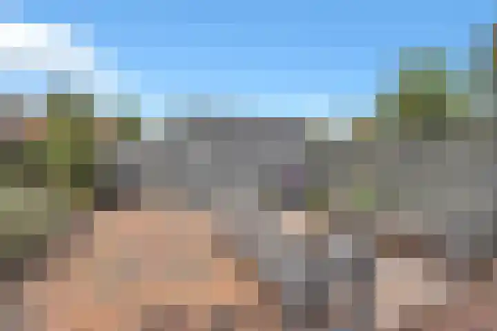 Leliestraat 16 't Zand thumbnail 43
