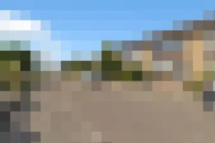 Leliestraat 16 't Zand thumbnail 48