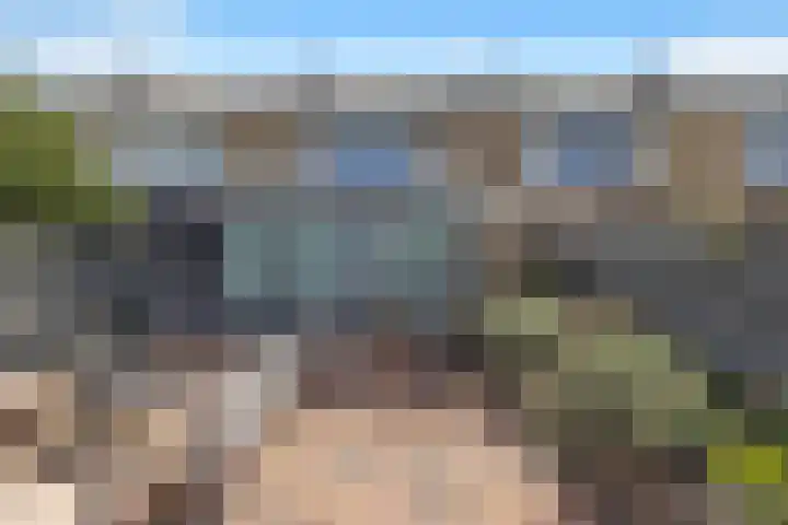 Leliestraat 16 't Zand thumbnail 5