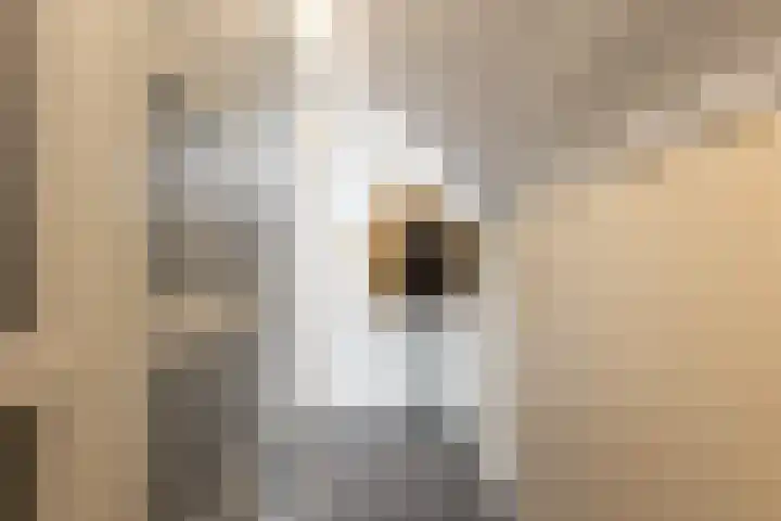 Leliestraat 17 Moordrecht thumbnail 41