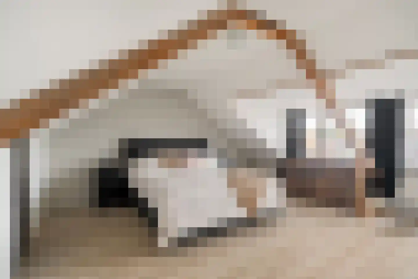 Leliestraat 18 Katwijk thumbnail 27