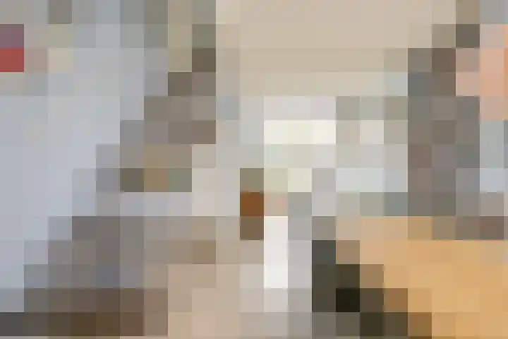 Leliestraat 18 Utrecht thumbnail 11