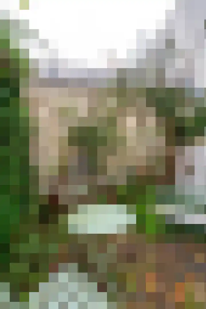 Leliestraat 18 Utrecht thumbnail 22