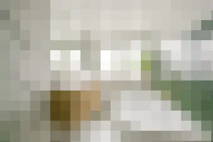Leliestraat 18 Utrecht thumbnail 4