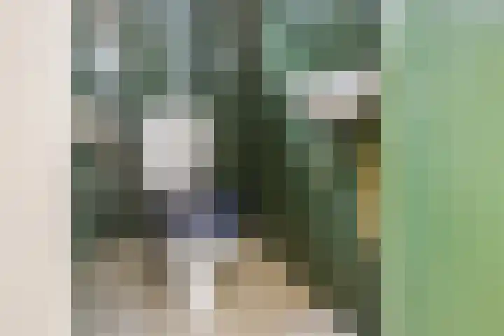 Leliestraat 18 Utrecht thumbnail 43