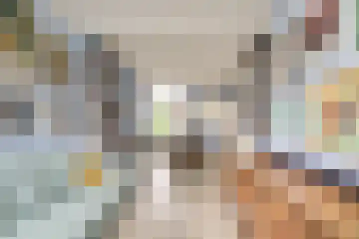 Leliestraat 18 Utrecht thumbnail 6