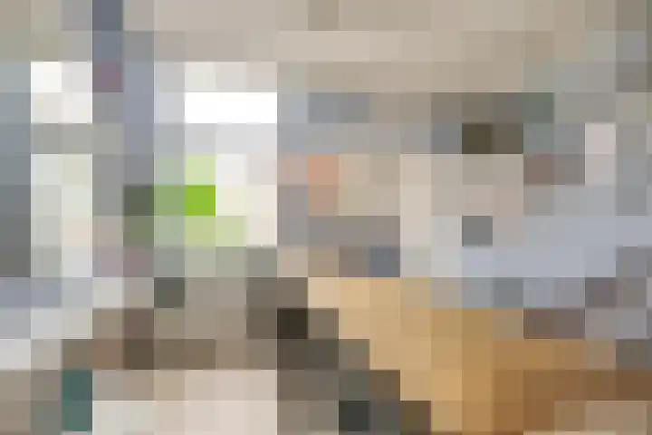 Leliestraat 18 Utrecht thumbnail 7
