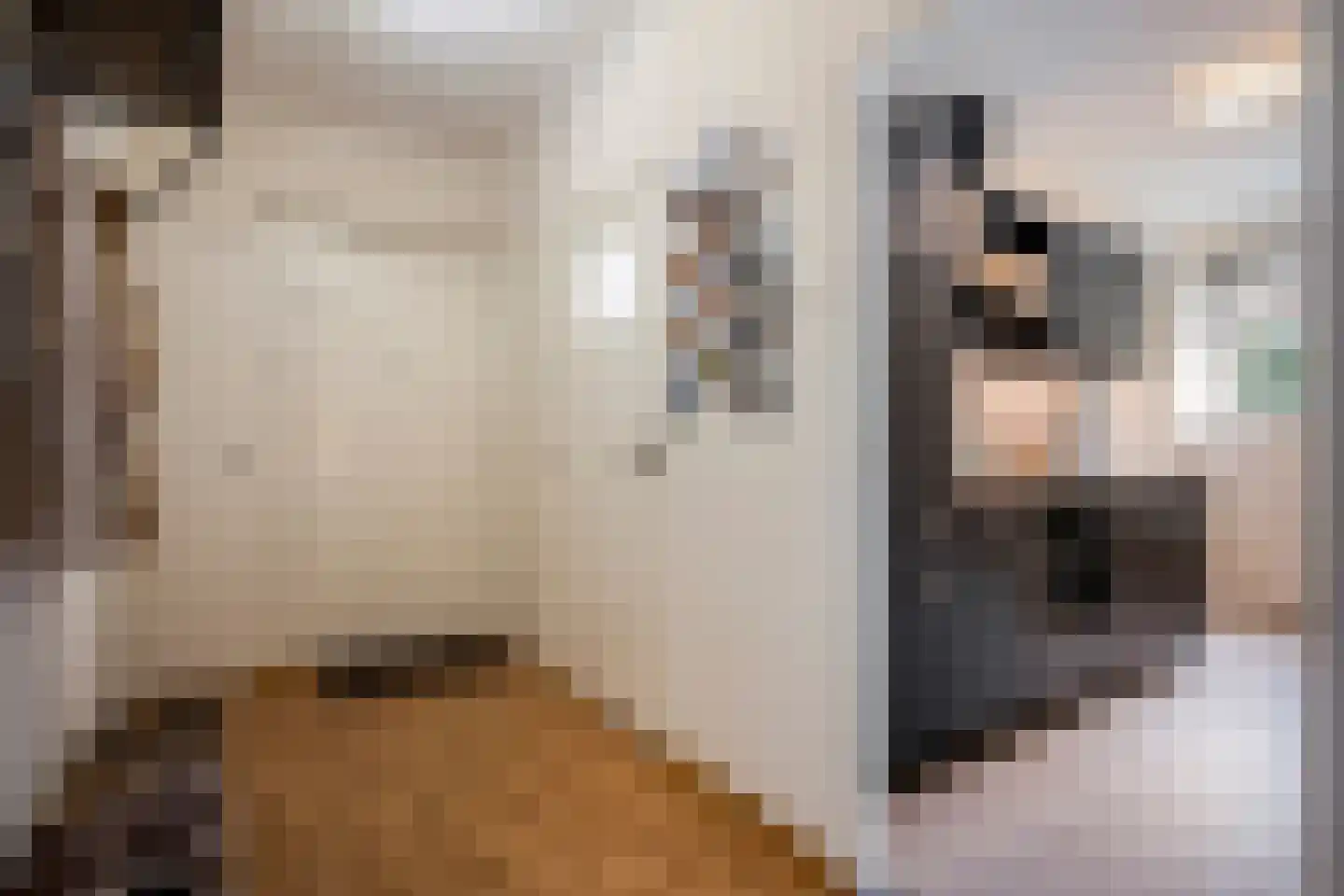 Leliestraat 19 Echt thumbnail 10